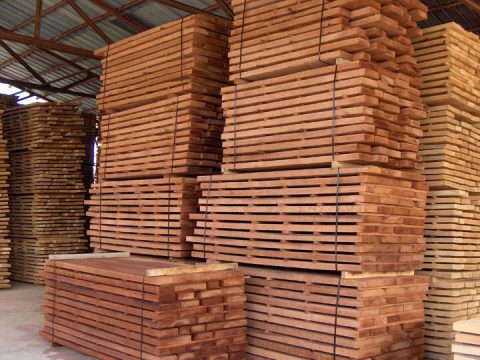 Baked beech dryer wood in Zampoukas Factory Warehouse ! Made in Greece